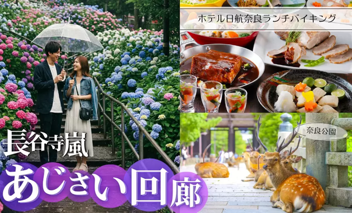 パーティーID:4247012の画像