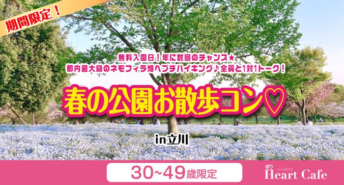 パーティーID:4250959の画像
