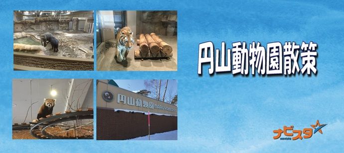 パーティーID:4251970の画像