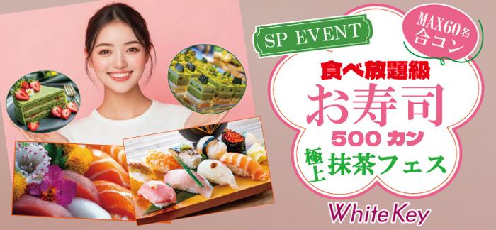 パーティーID:4256413の画像