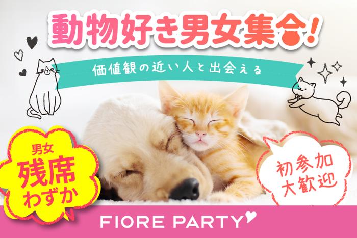 パーティーID:4259212の画像