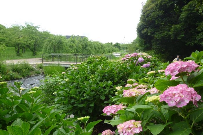 パーティーID:4259292の画像