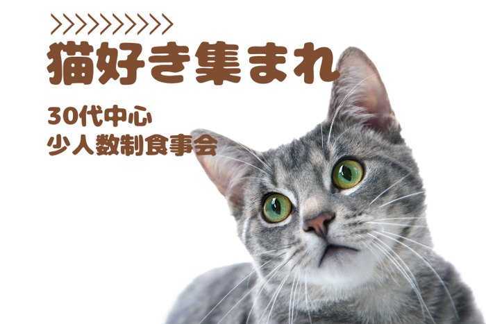 パーティーID:4261533の画像
