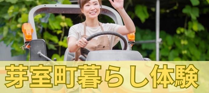 パーティーID:4262892の画像