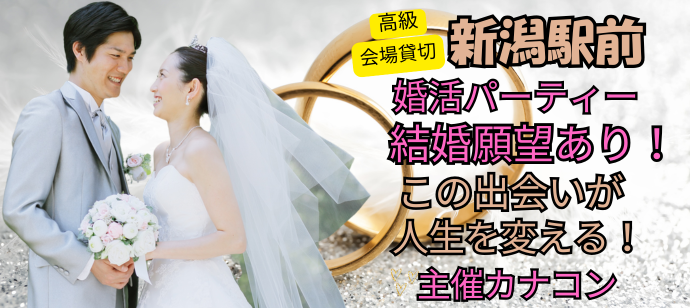 パーティーID:4264975の画像