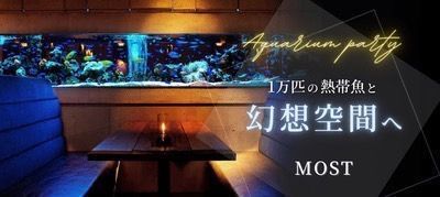 パーティーID:4265045の画像