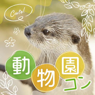 パーティーID:4265135の画像