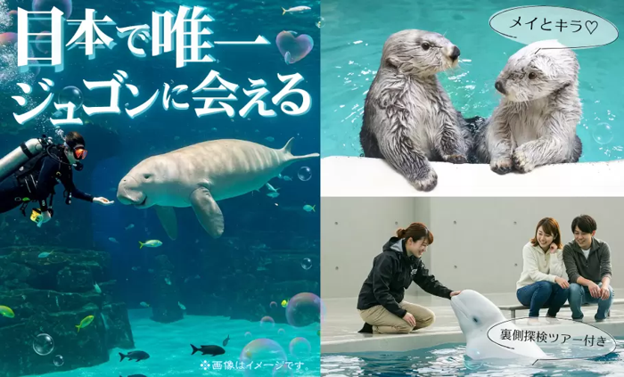 パーティーID:4268869の画像