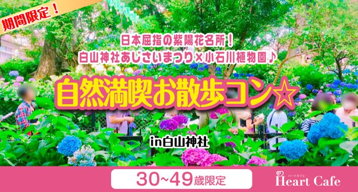 パーティーID:4272951の画像