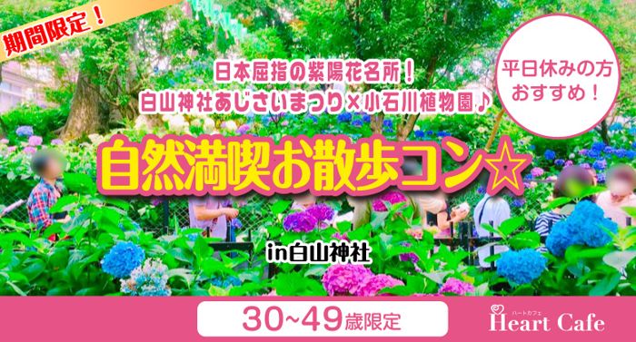 パーティーID:4272952の画像
