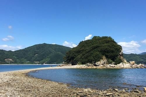 パーティーID:4273718の画像