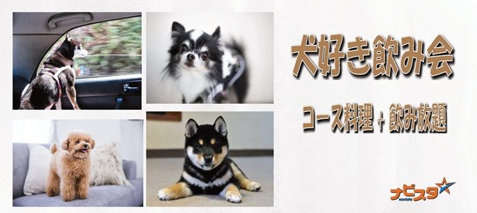 パーティーID:4274494の画像