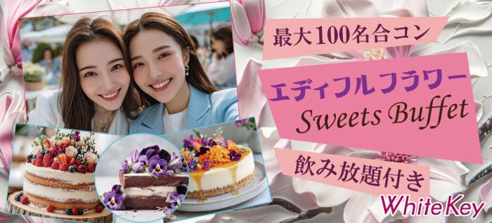 パーティーID:4275056の画像