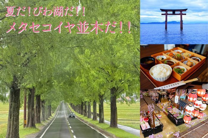 パーティーID:4275336の画像