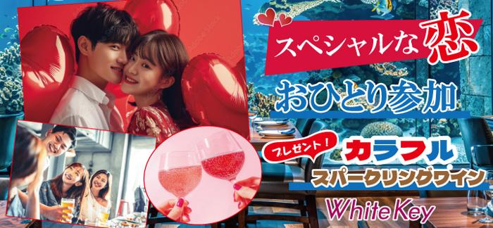 パーティーID:4276838の画像
