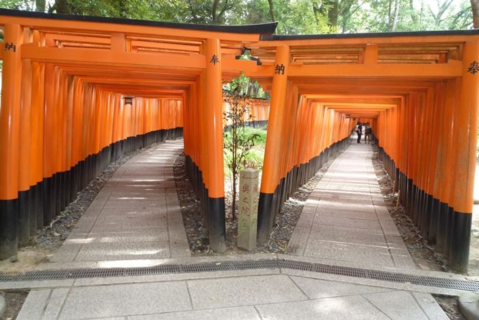 パーティーID:4278098の画像