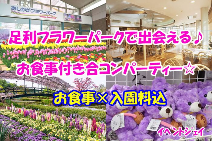 パーティーID:4278150の画像