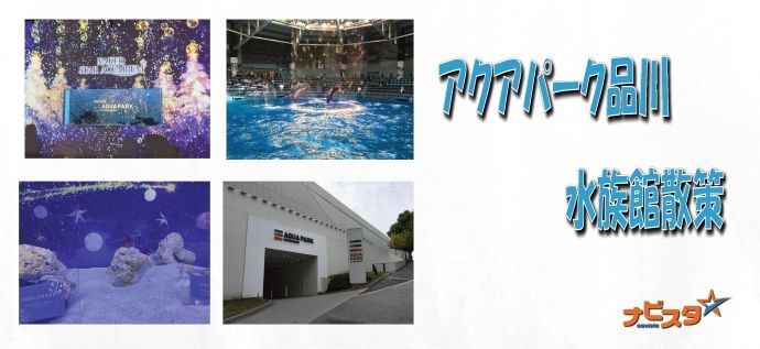 パーティーID:4279012の画像