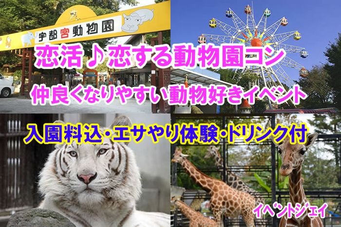 パーティーID:4283408の画像