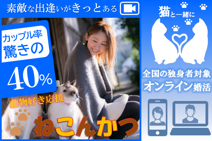 パーティーID:4283794の画像