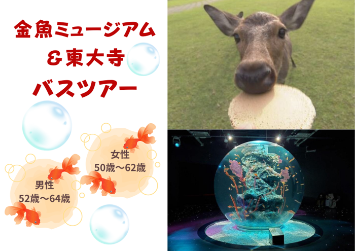 パーティーID:4284195の画像