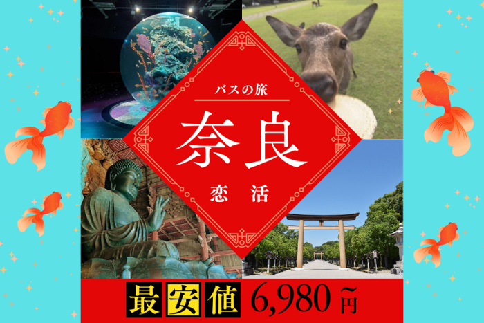 パーティーID:4284195の画像