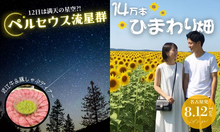 パーティーID:4286822の画像
