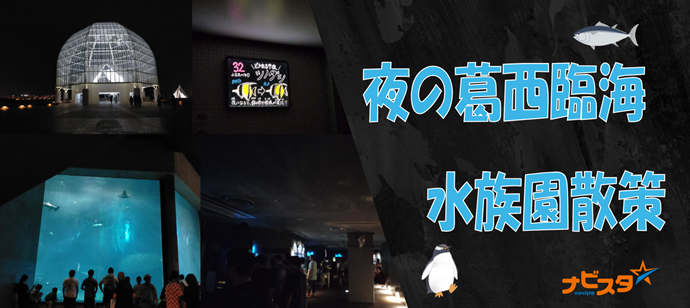 パーティーID:4287469の画像