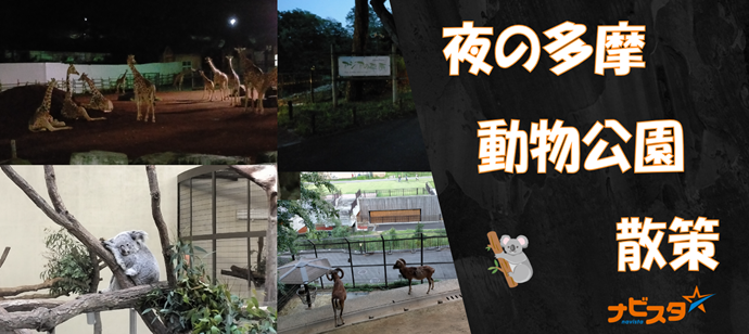 パーティーID:4288758の画像