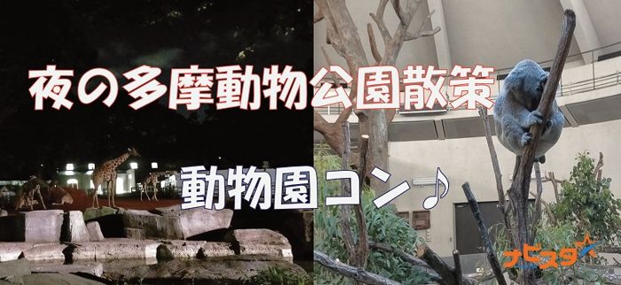 パーティーID:4288759の画像