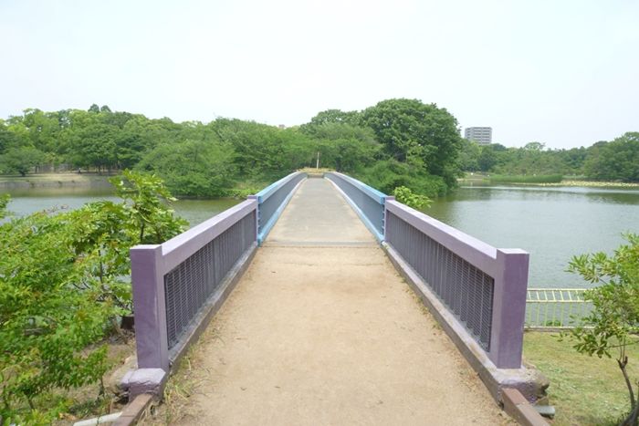 パーティーID:4289026の画像
