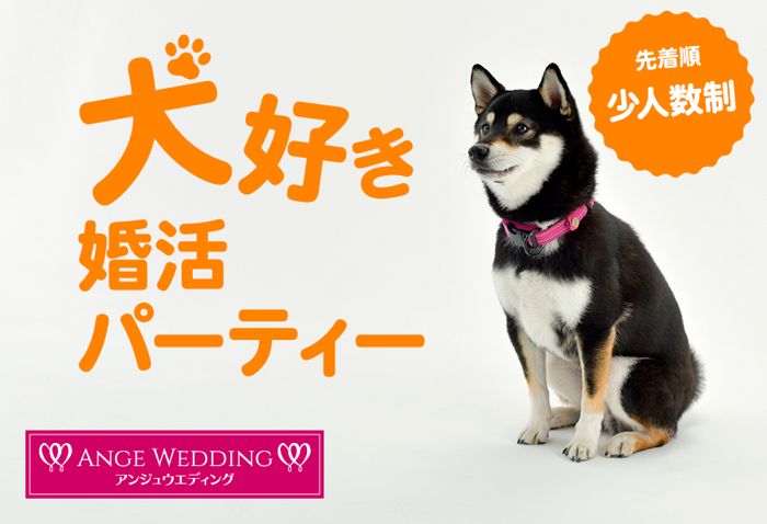 パーティーID:4290175の画像