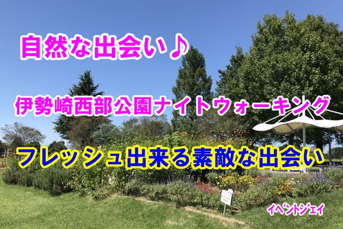 パーティーID:4290430の画像