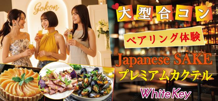 パーティーID:4290439の画像