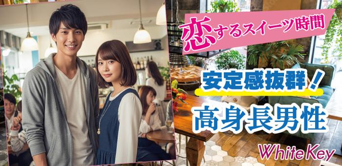 パーティーID:4295935の画像