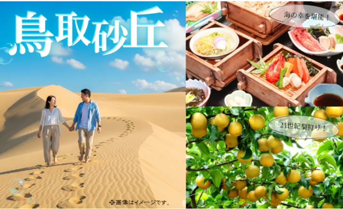 パーティーID:4296282の画像