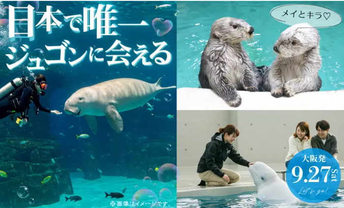 パーティーID:4297696の画像