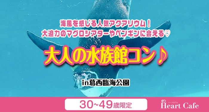 パーティーID:4298325の画像