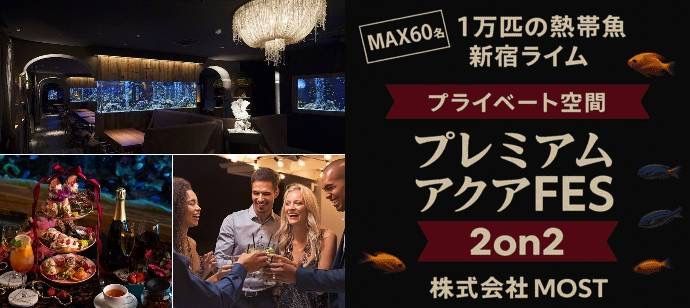 パーティーID:4298939の画像