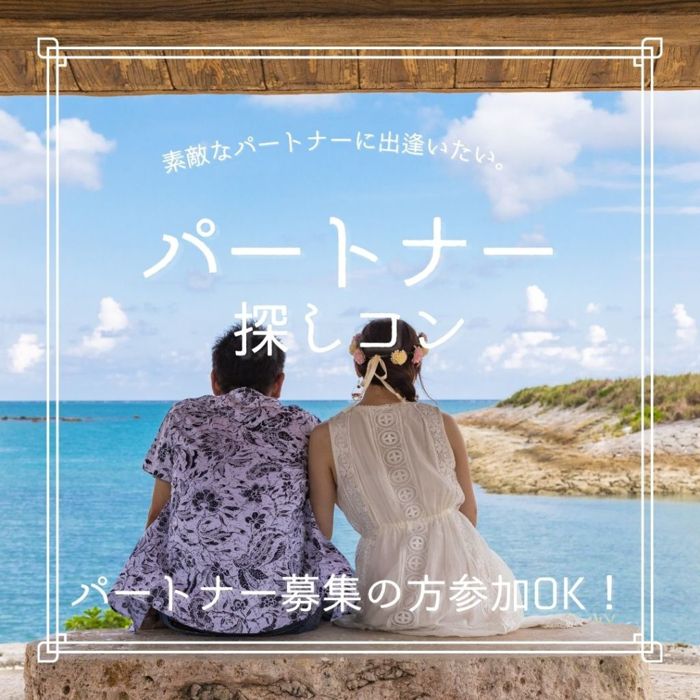 パーティーID:4299072の画像
