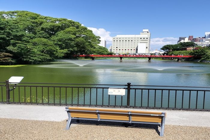 パーティーID:4301749の画像
