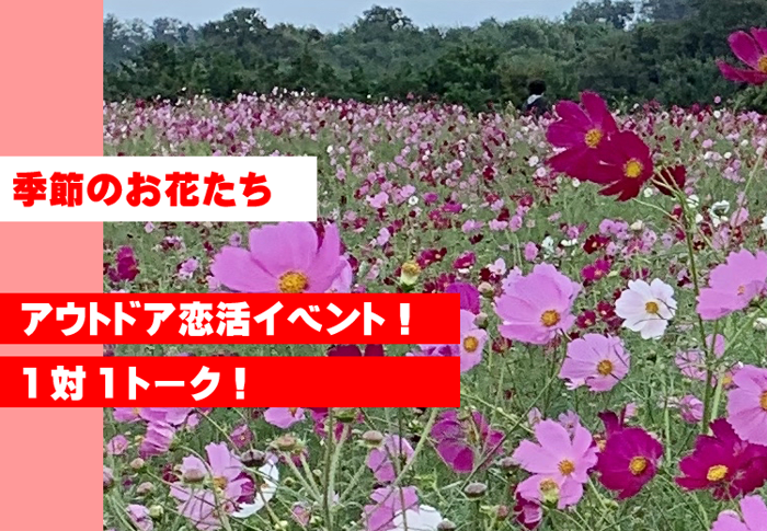 パーティーID:4302045の画像