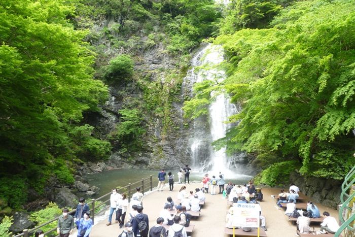 パーティーID:4302125の画像