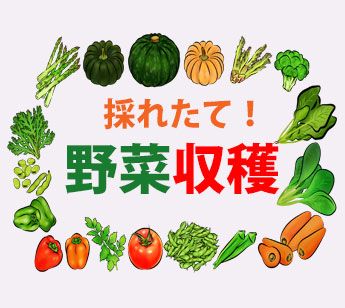 パーティーID:4303110の画像