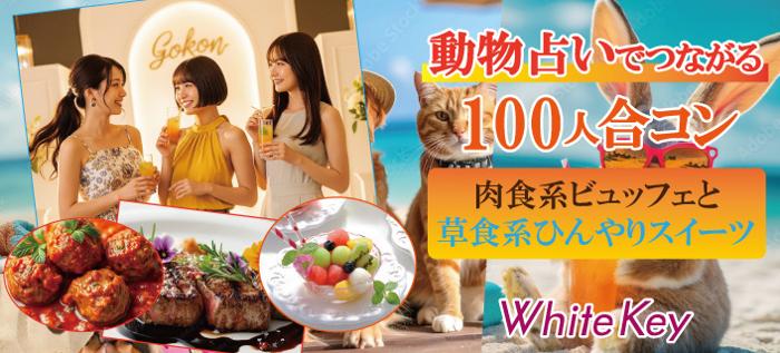 パーティーID:4303585の画像
