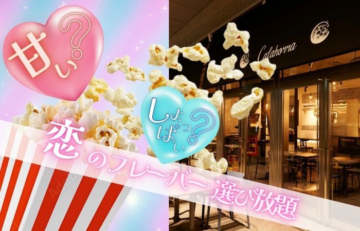 パーティーID:4304104の画像