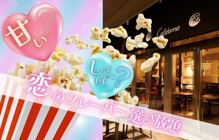 パーティーID:4304116の画像