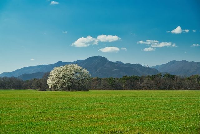パーティーID:4304194の画像