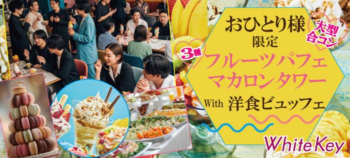 パーティーID:4306412の画像