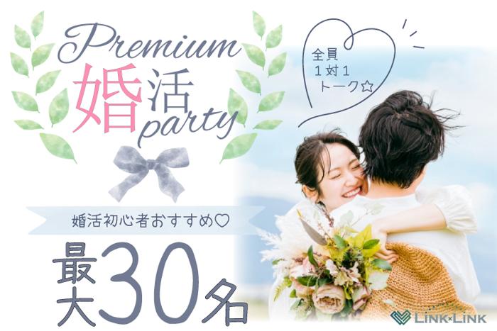 パーティーID:4308099の画像